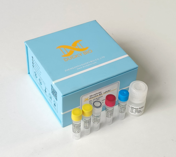 Mycoplasma Detection Kit（qPCR） - Image 3