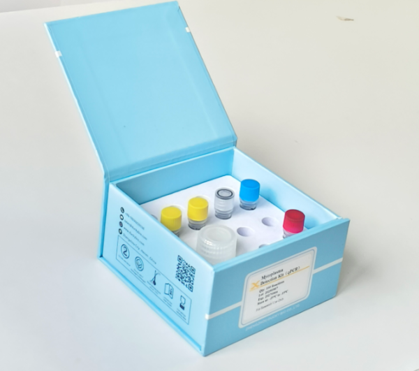 Mycoplasma Detection Kit（qPCR） - Image 4