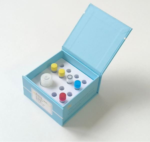 Mycoplasma Detection Kit（qPCR） - Image 5