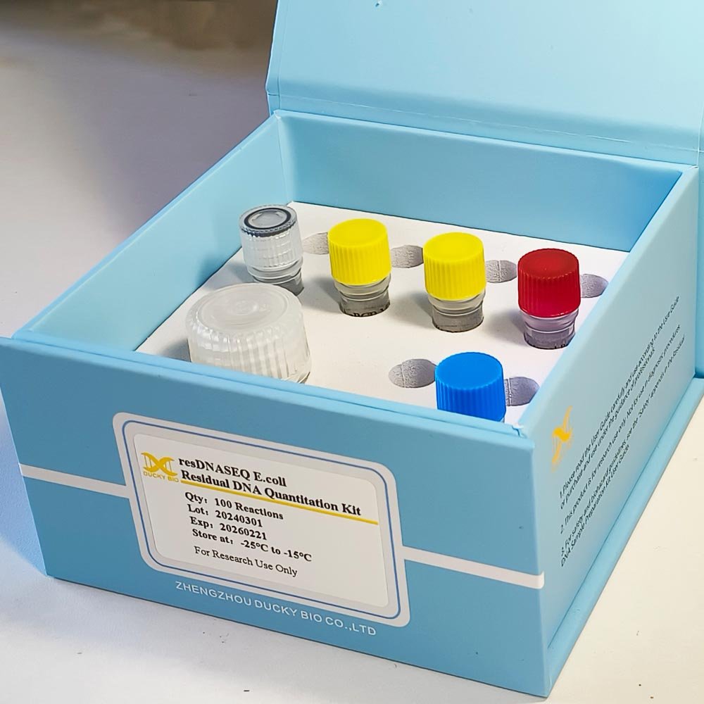 E.coli Residual DNA Quantitation kit - Image 3