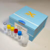 resDNASEQ Quantitative Cho DNA Kit - Image 4