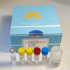 resDNASEQ Quantitative Cho DNA Kit - Image 3