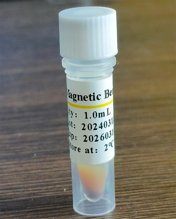 Magnetic Beads