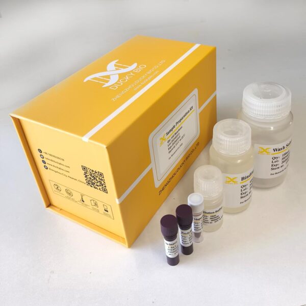 Residual DNA Sample Preparation Kit - Image 3
